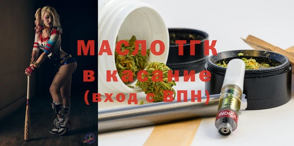 индика Аркадак