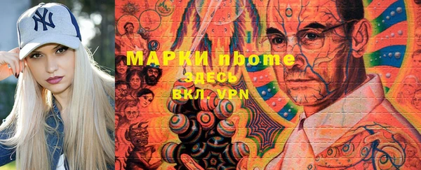 индика Аркадак