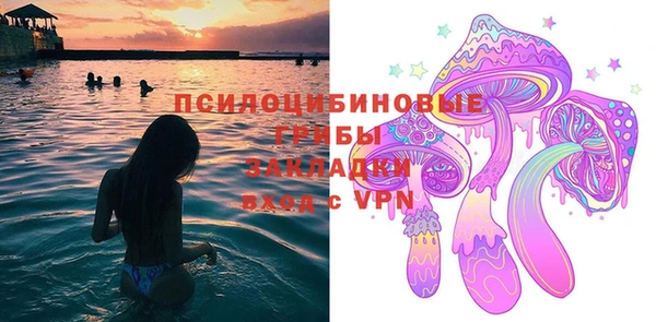 индика Аркадак