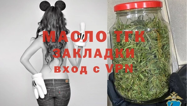индика Аркадак