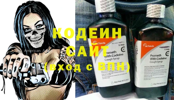 индика Аркадак