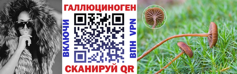 Галлюциногенные грибы Magic Shrooms  цены   Сорск 